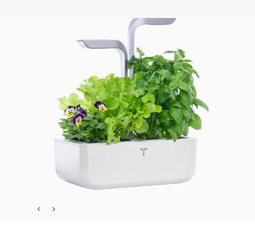 Veritable classic herb - classic,